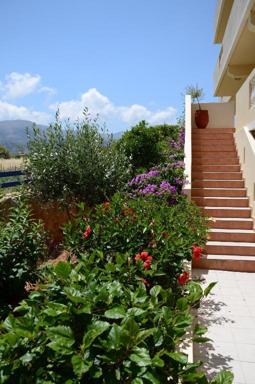 Cretan Family Apartments Mália Zewnętrze zdjęcie