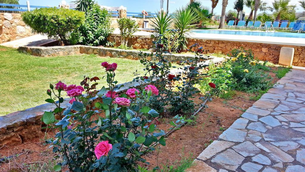 Cretan Family Apartments Mália Zewnętrze zdjęcie